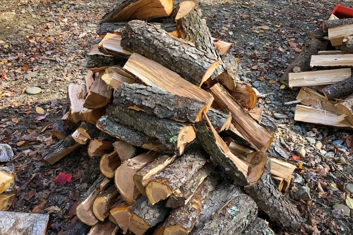 Firewood-Delivery-1